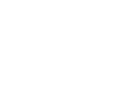 Critical Minerals Forum